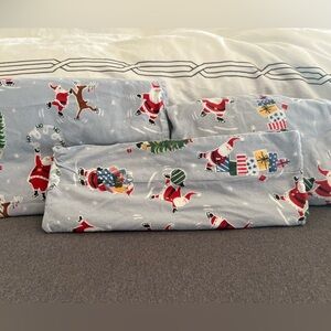 Pottery Barn Kids twin cotton flannel 3 piece sheet set/ powder blue